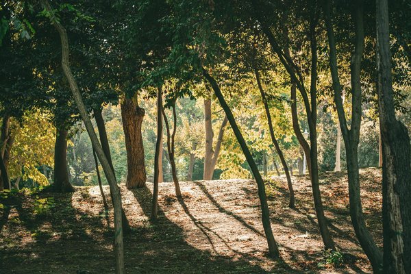 Comprendre l'Impact de la Santé Mentale sur les Actualités Actuelles : Un Sujet Crucial Aujourd'hui